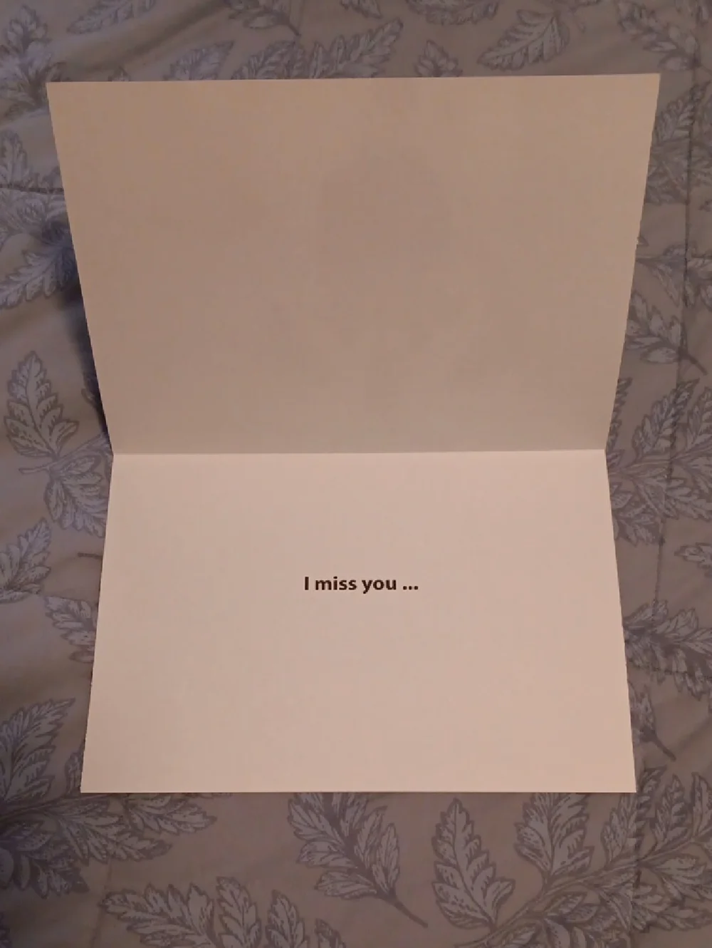 Animal Cards Dog/Puppy & Cat Set of 4 w-white envelopes included